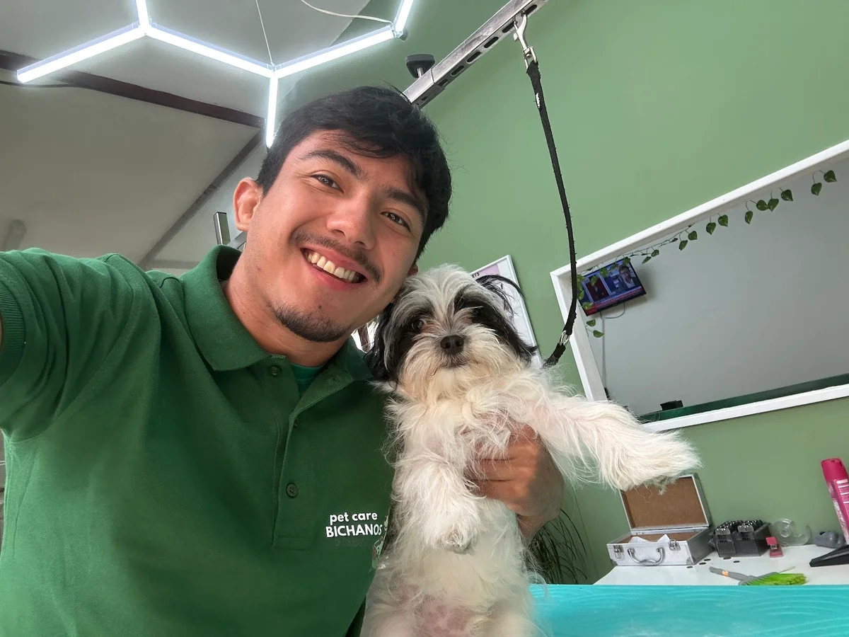 Bichanos Pet Care Grooming — 2