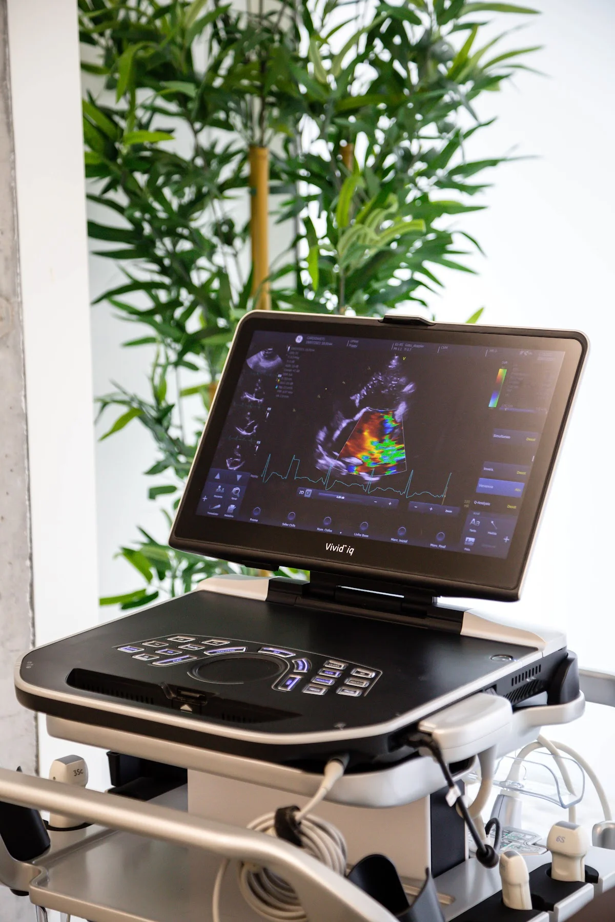 Centro de Cardiologia Veterinária do Porto — 2