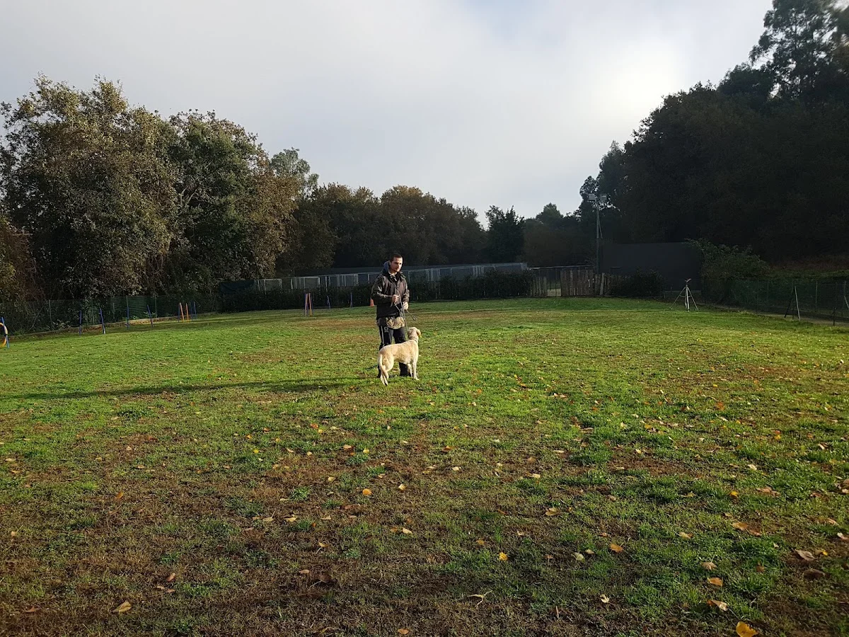Kaninine - Centro de Treino Canino