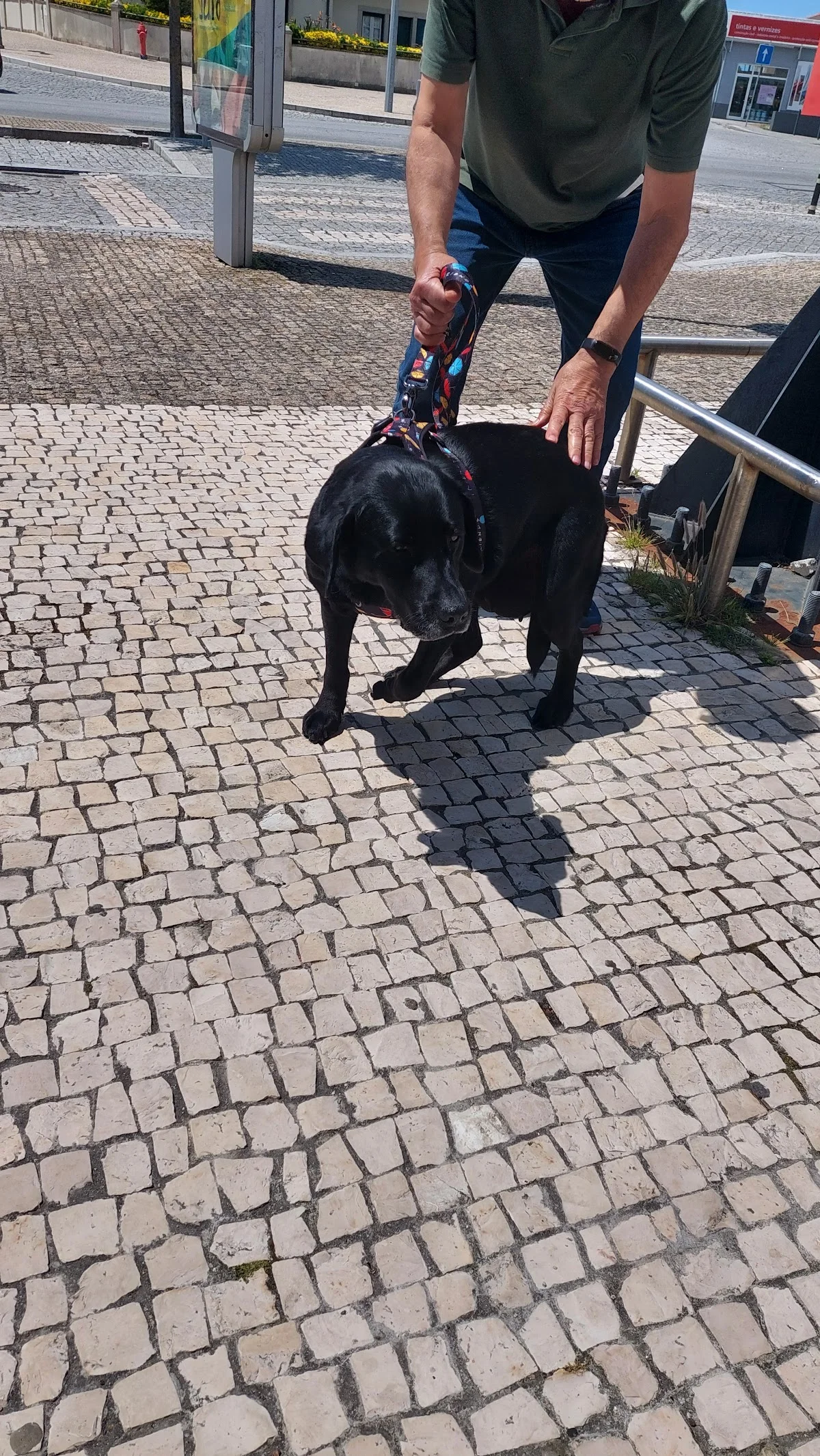 Consultório Veterinário Puppycare — 2