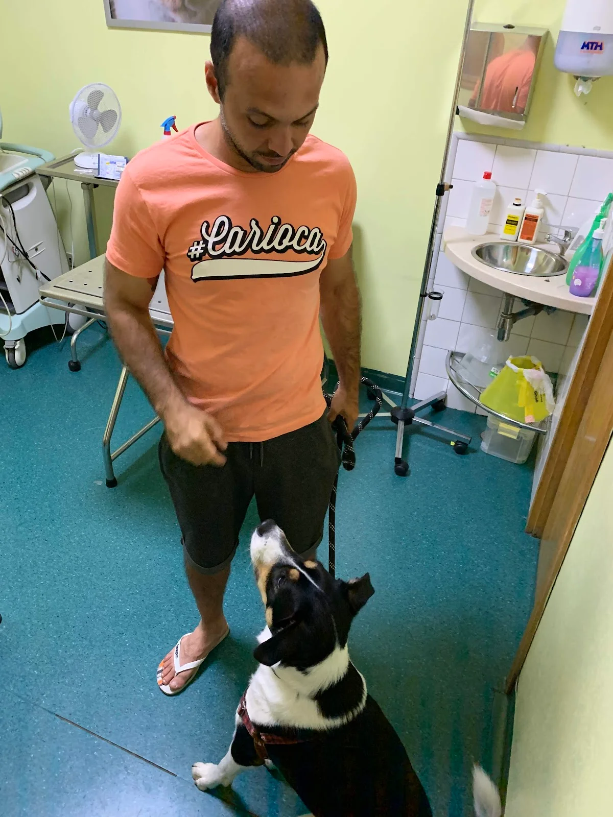 Bichomix Clínica Veterinária da Estefânia