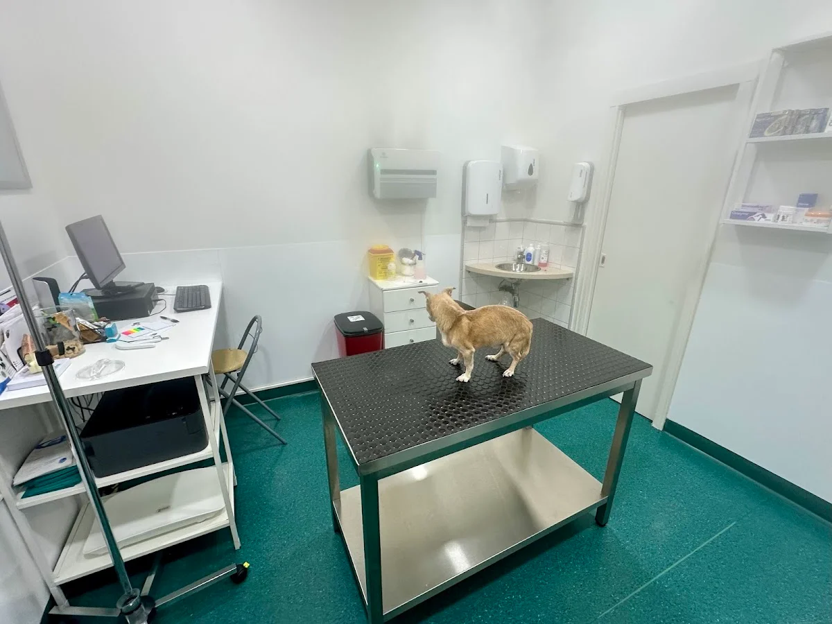 Bichomix Clínica Veterinária da Estefânia — 2
