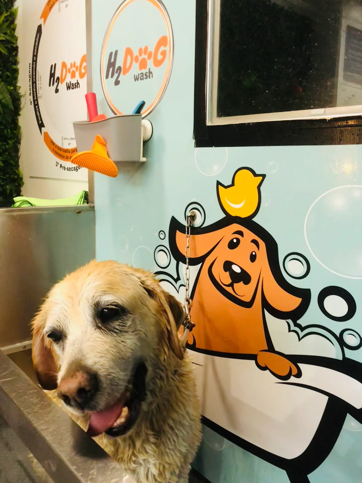 H2DOG Wash Lumiar (Self-Service)