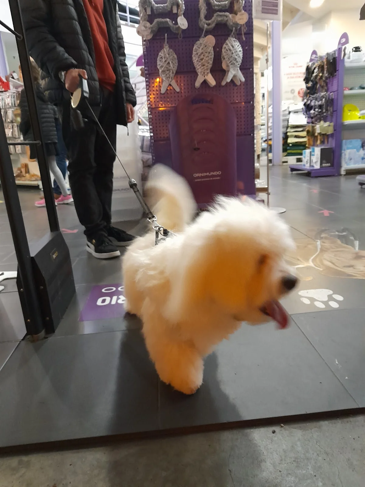 Tiendanimal - NorteShopping — 3