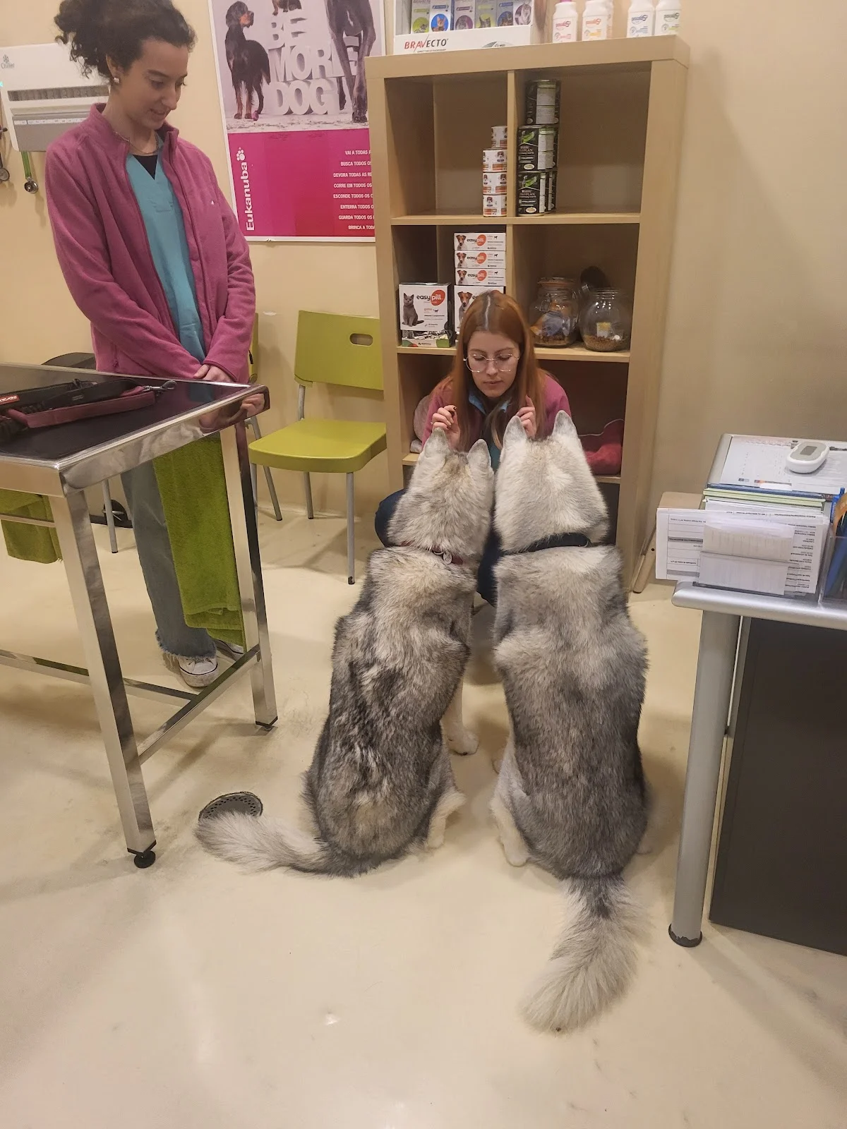 CoolVet — 2