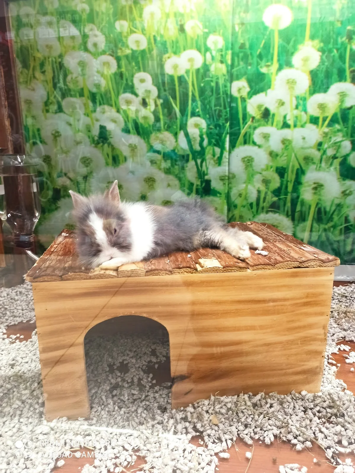Kiwoko - Mundo Animal (Matosinhos Retail Park) — 3