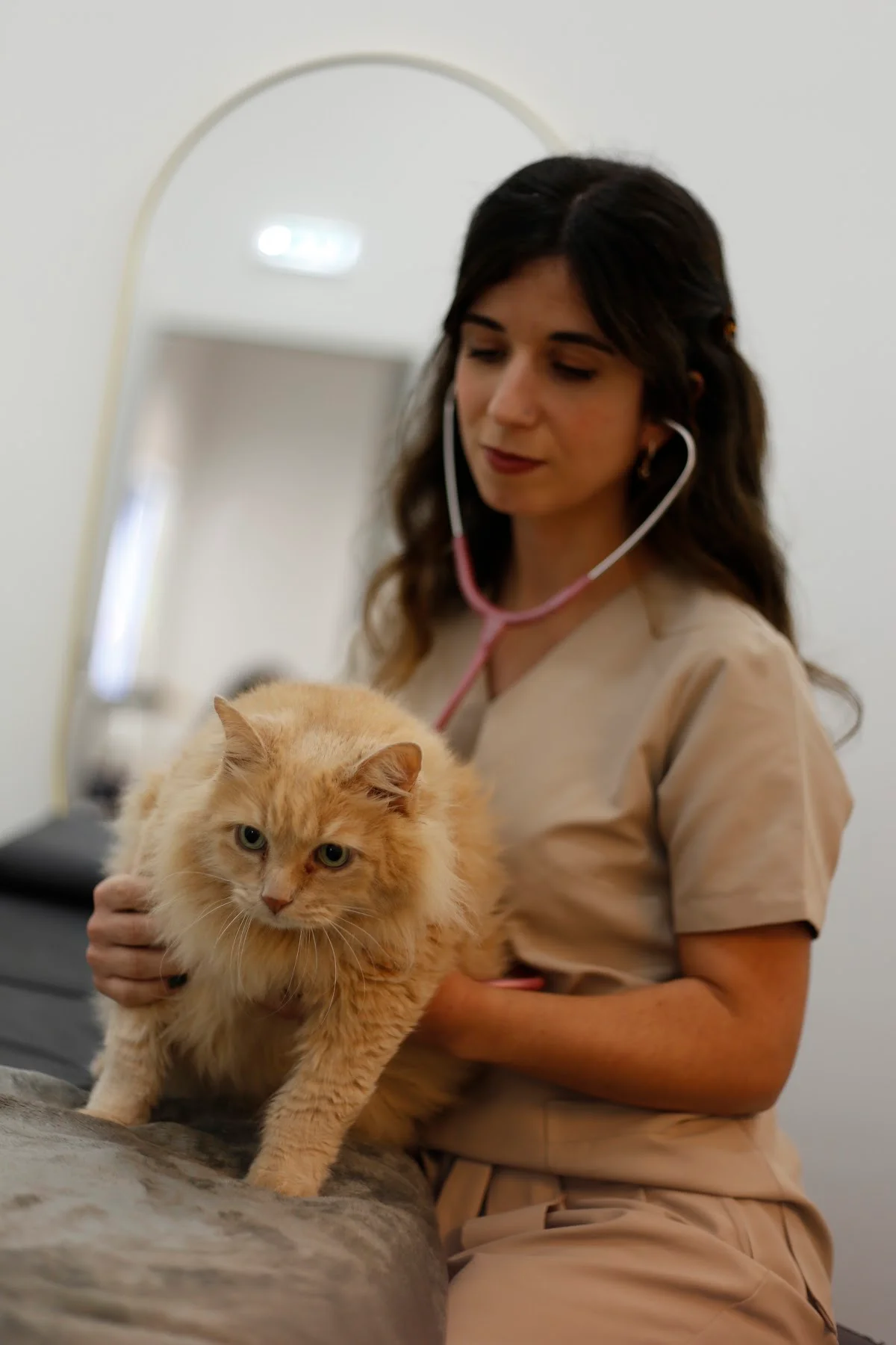 Centro de Reabilitação Animal VetCura