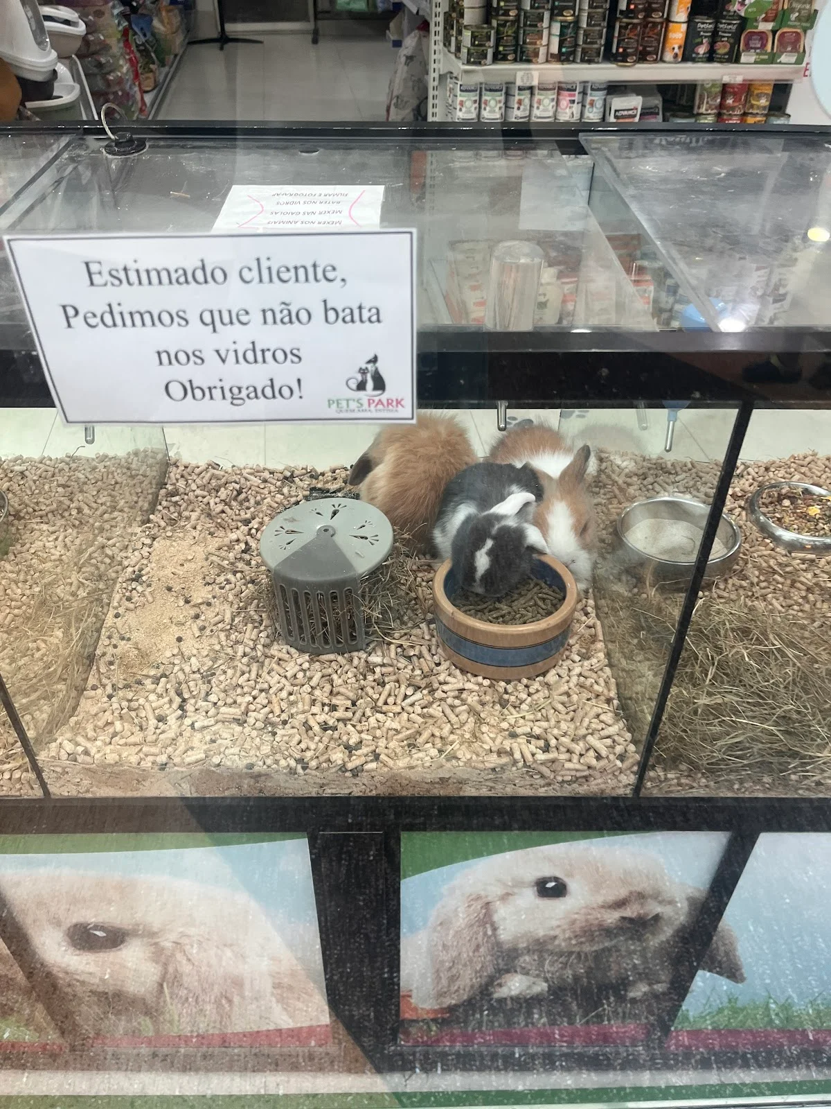 Pet's Park - CC UBBO — 2