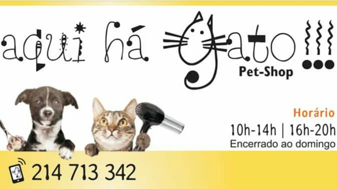 Aqui Há Gato !!!