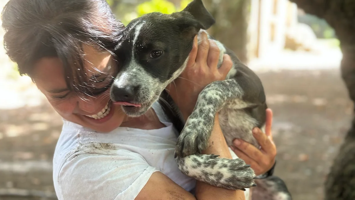 The Castle Dog Hotel & Retreat