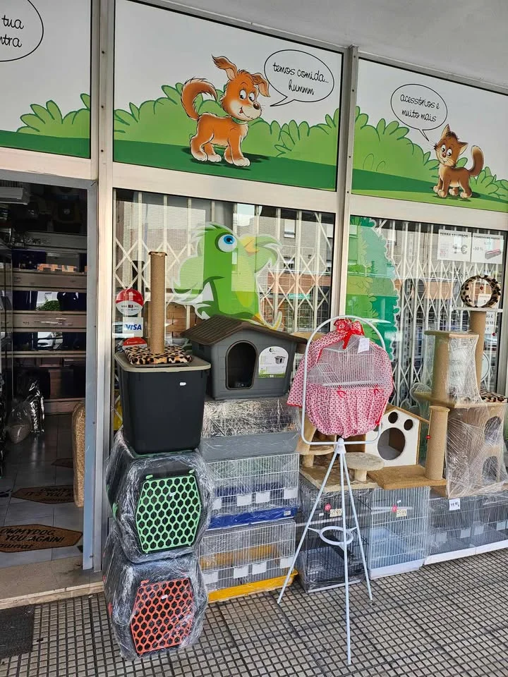 Academia dos animais