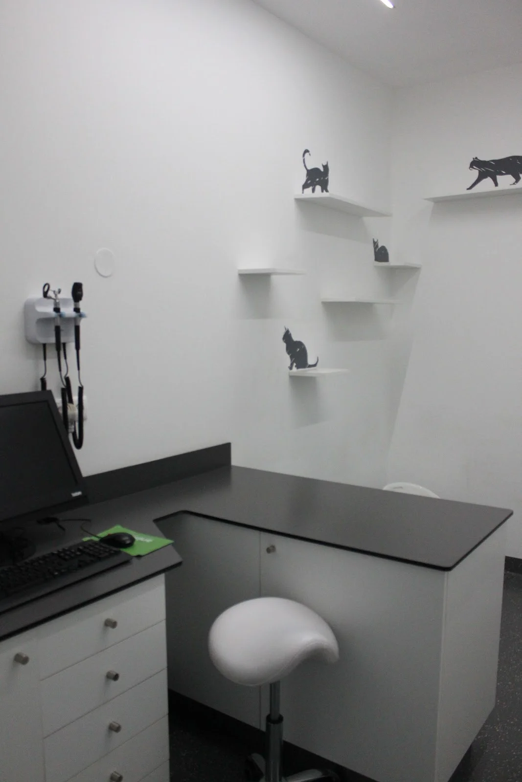 Animed - Hospital Veterinario de Gondomar — 2