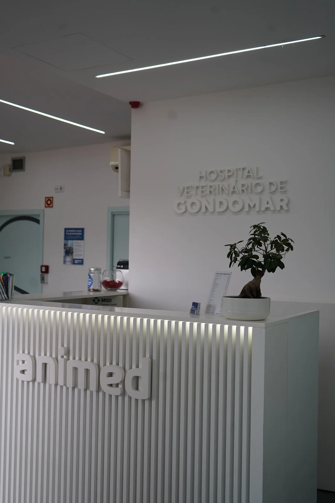 Animed - Hospital Veterinario de Gondomar — 3