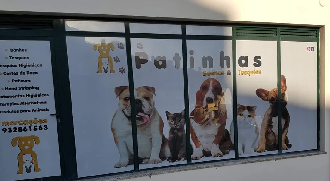 Patinhas Banhos&Tosquias — 2