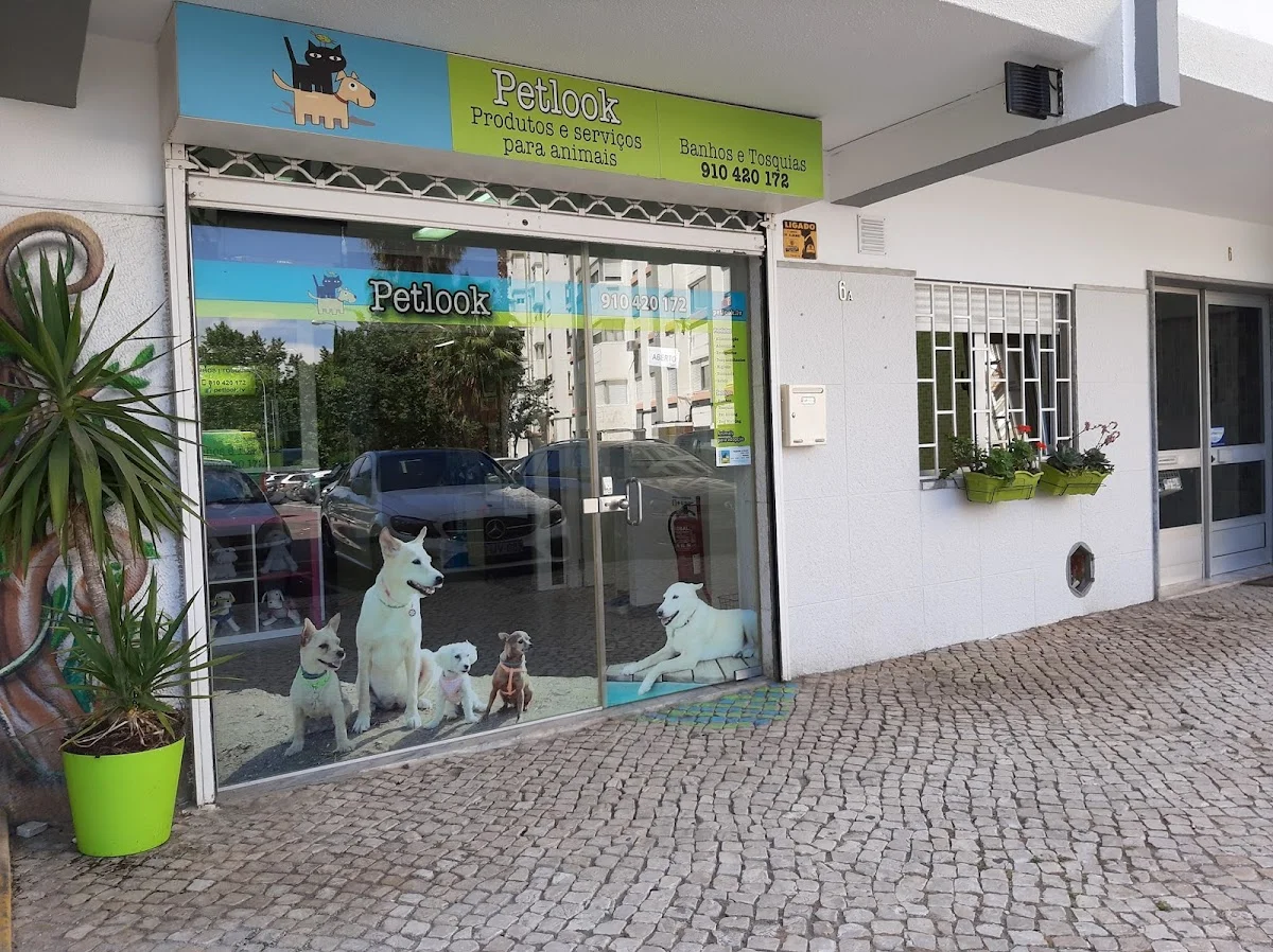 Petlook
