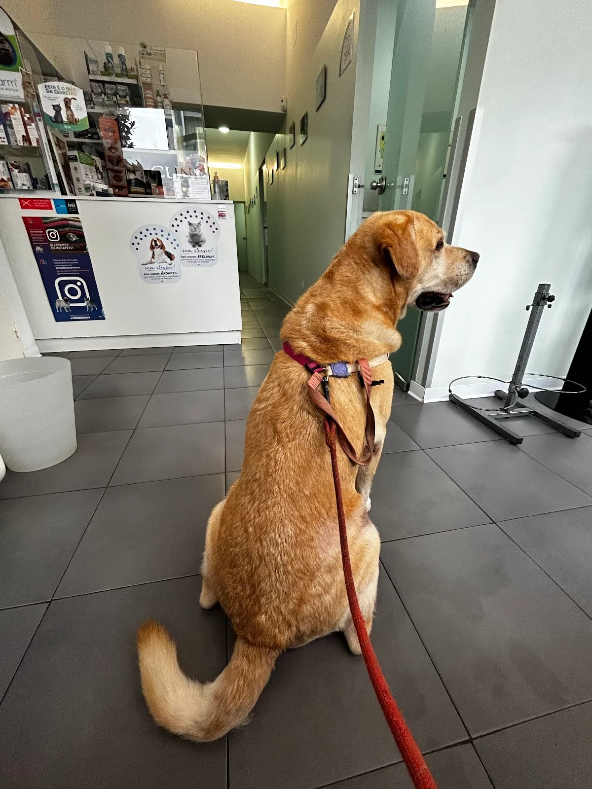Clínica Veterinária Quinta do Covelo