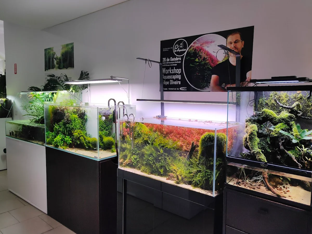 Pro-Aquarium — 3