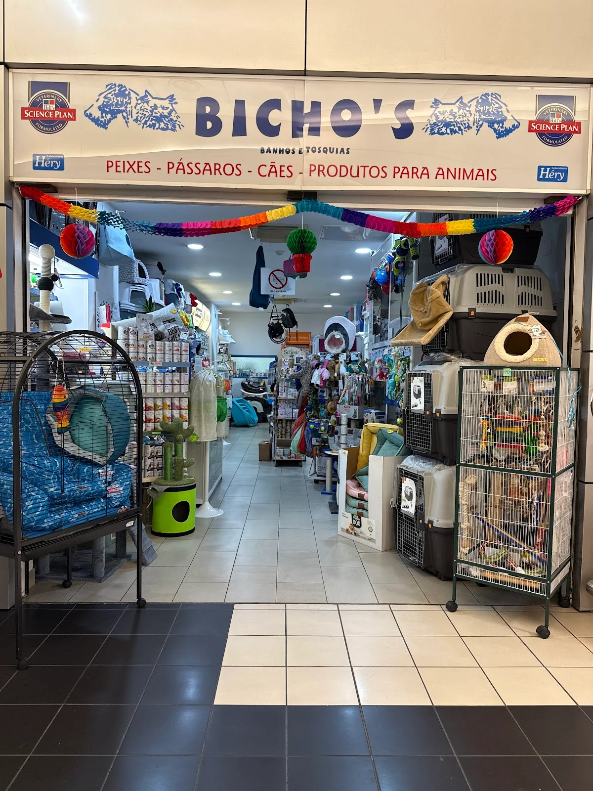 Bicho's — 3