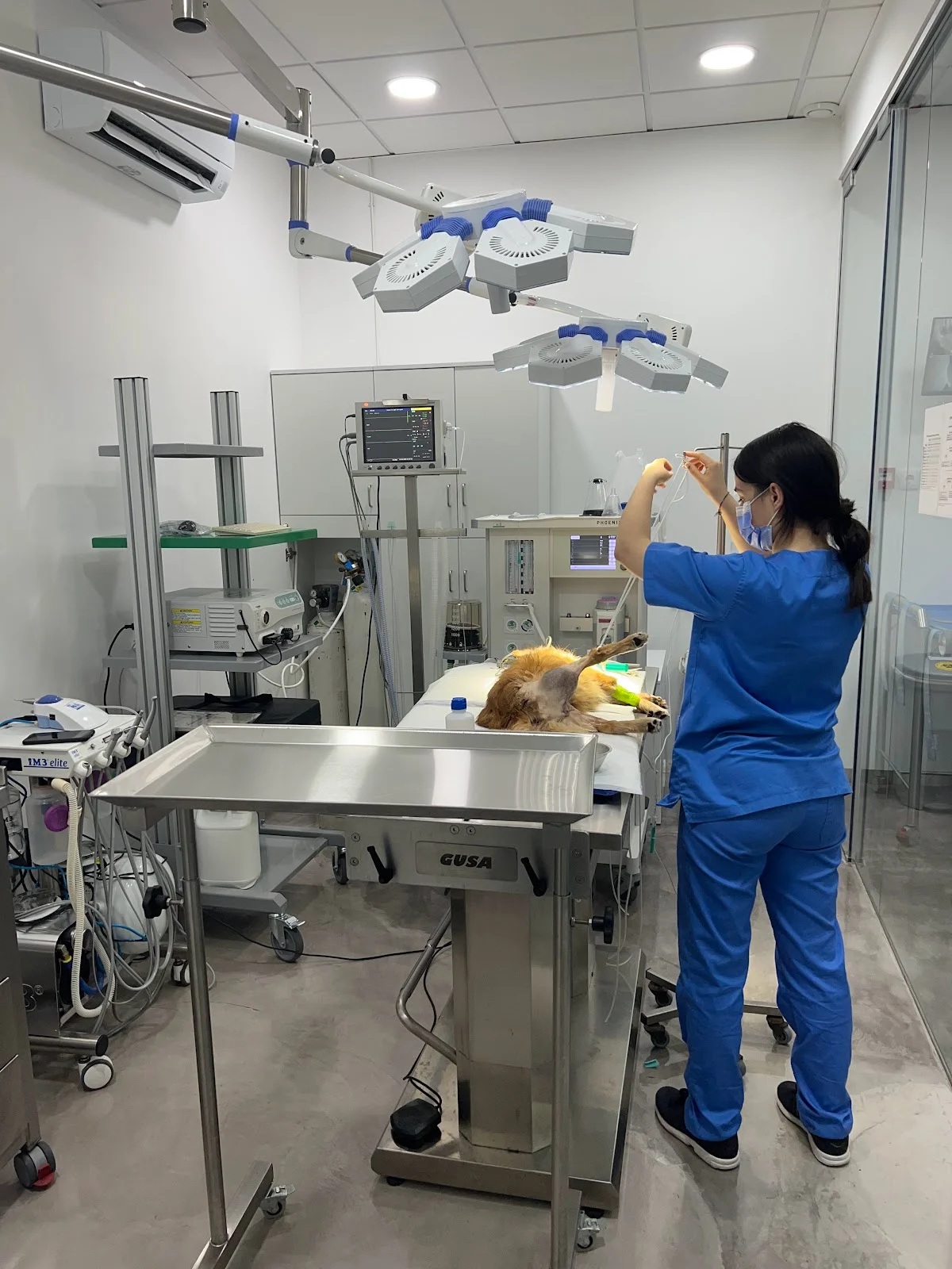 Petvet saúde Hospital Veterinário