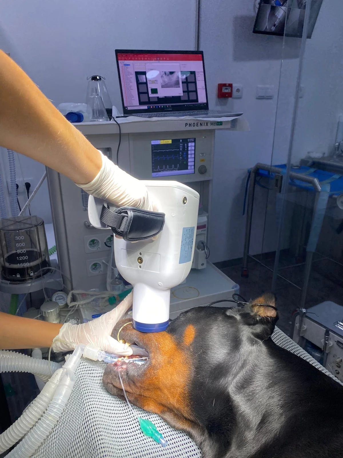 Petvet saúde Hospital Veterinário — 3