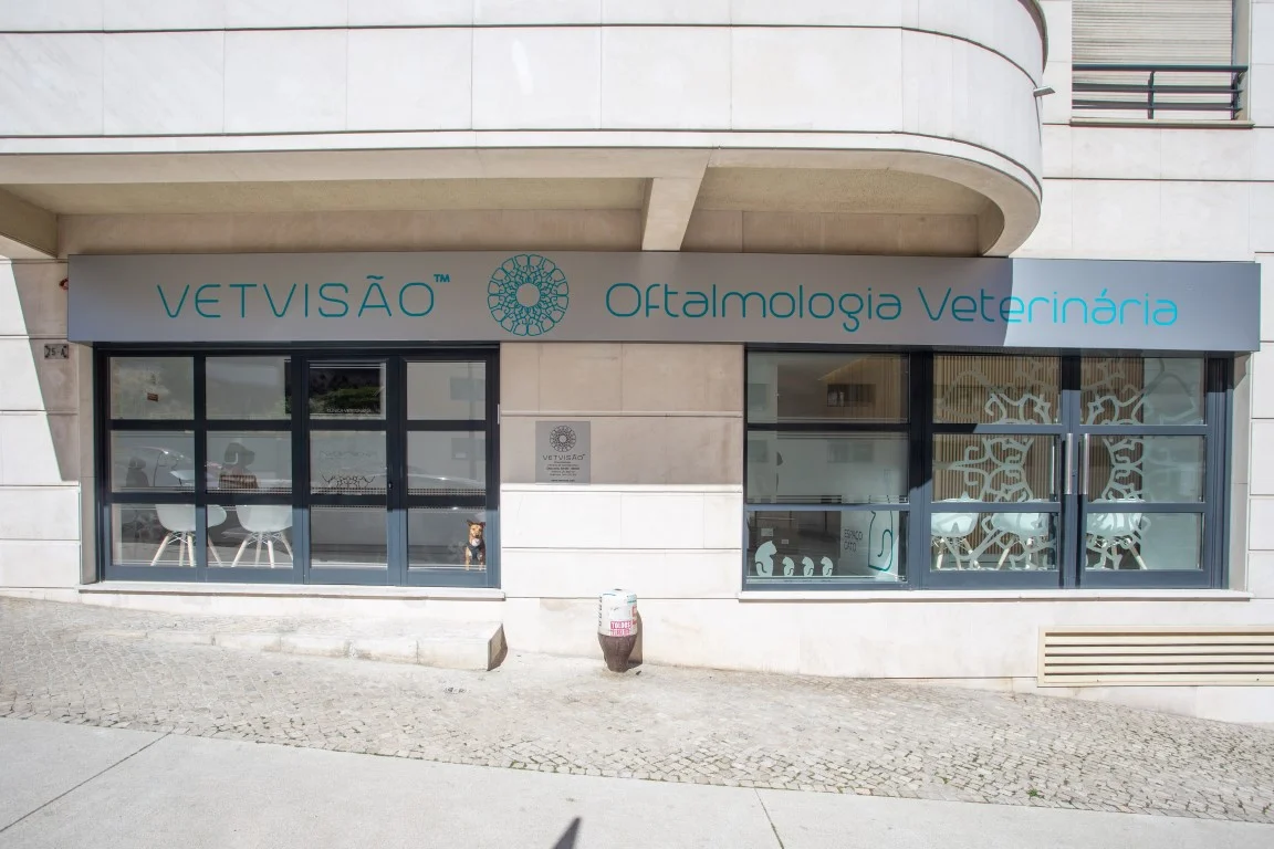 VETVISÃO OFTALMOLOGIA VETERINÁRIA