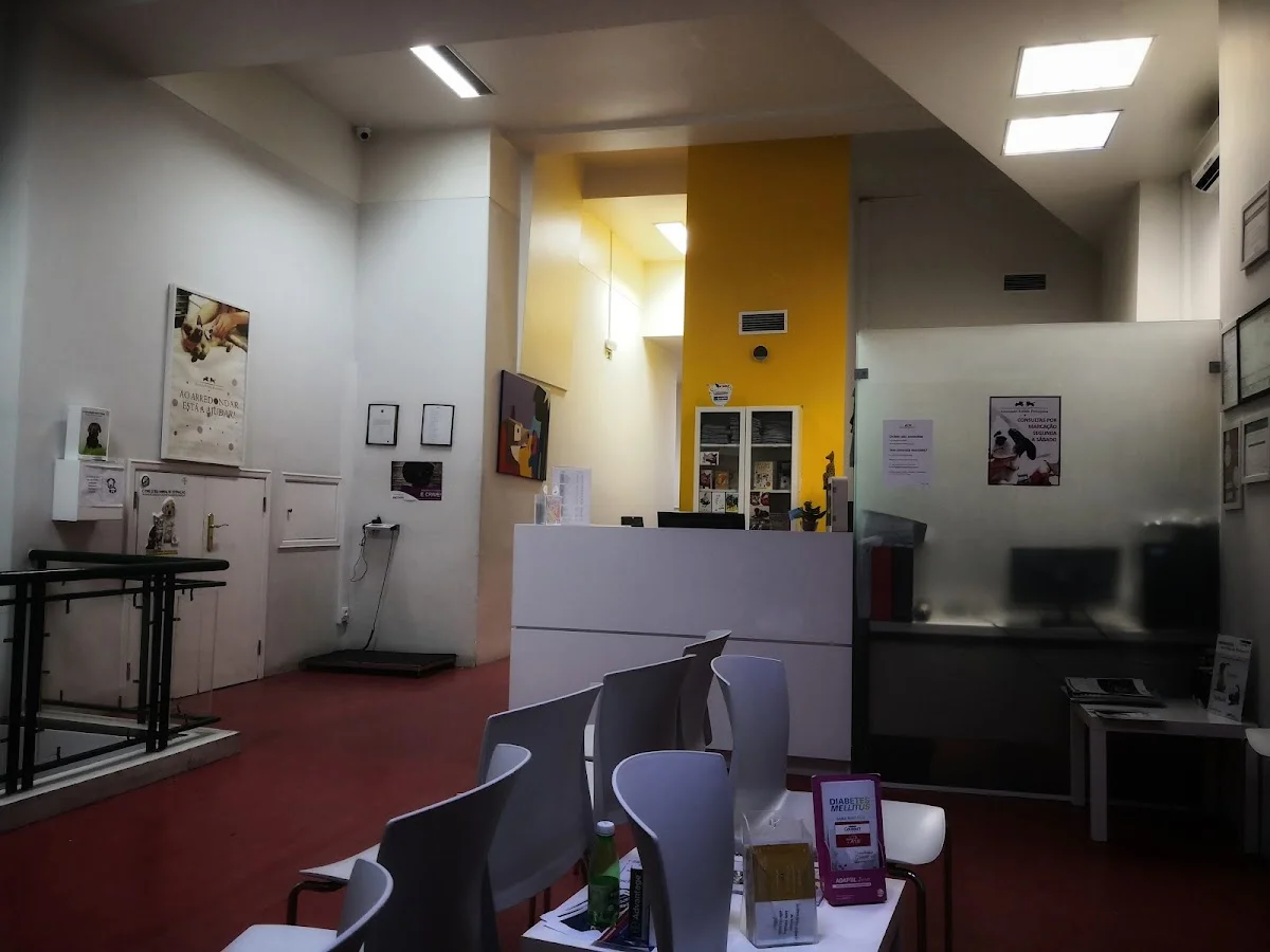 Associação Zoófila Portuguesa (AZP) — 3