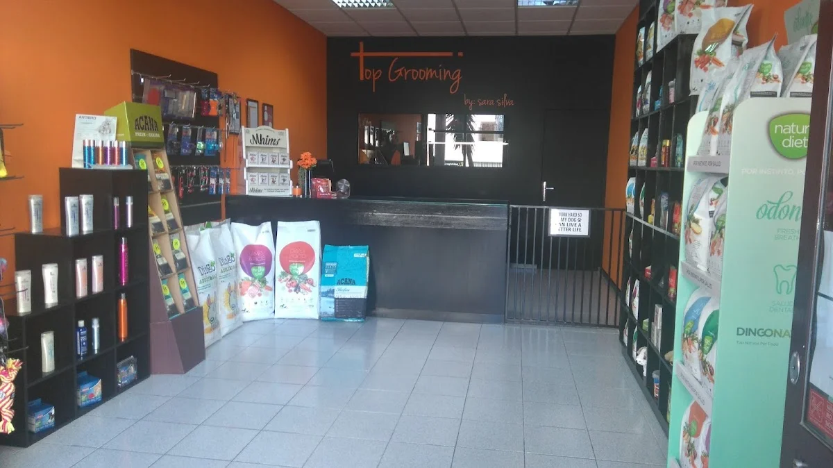Top Grooming by: sara silva