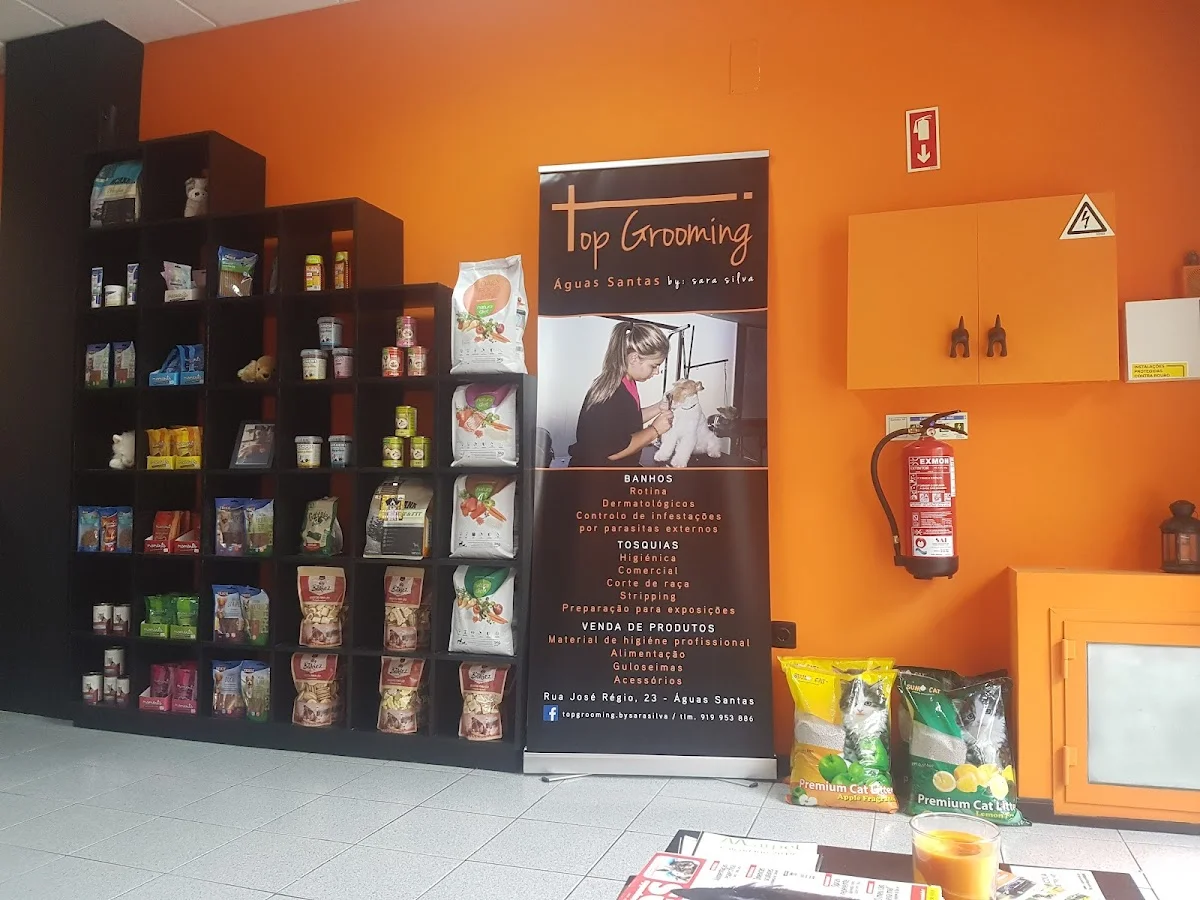 Top Grooming by: sara silva — 2