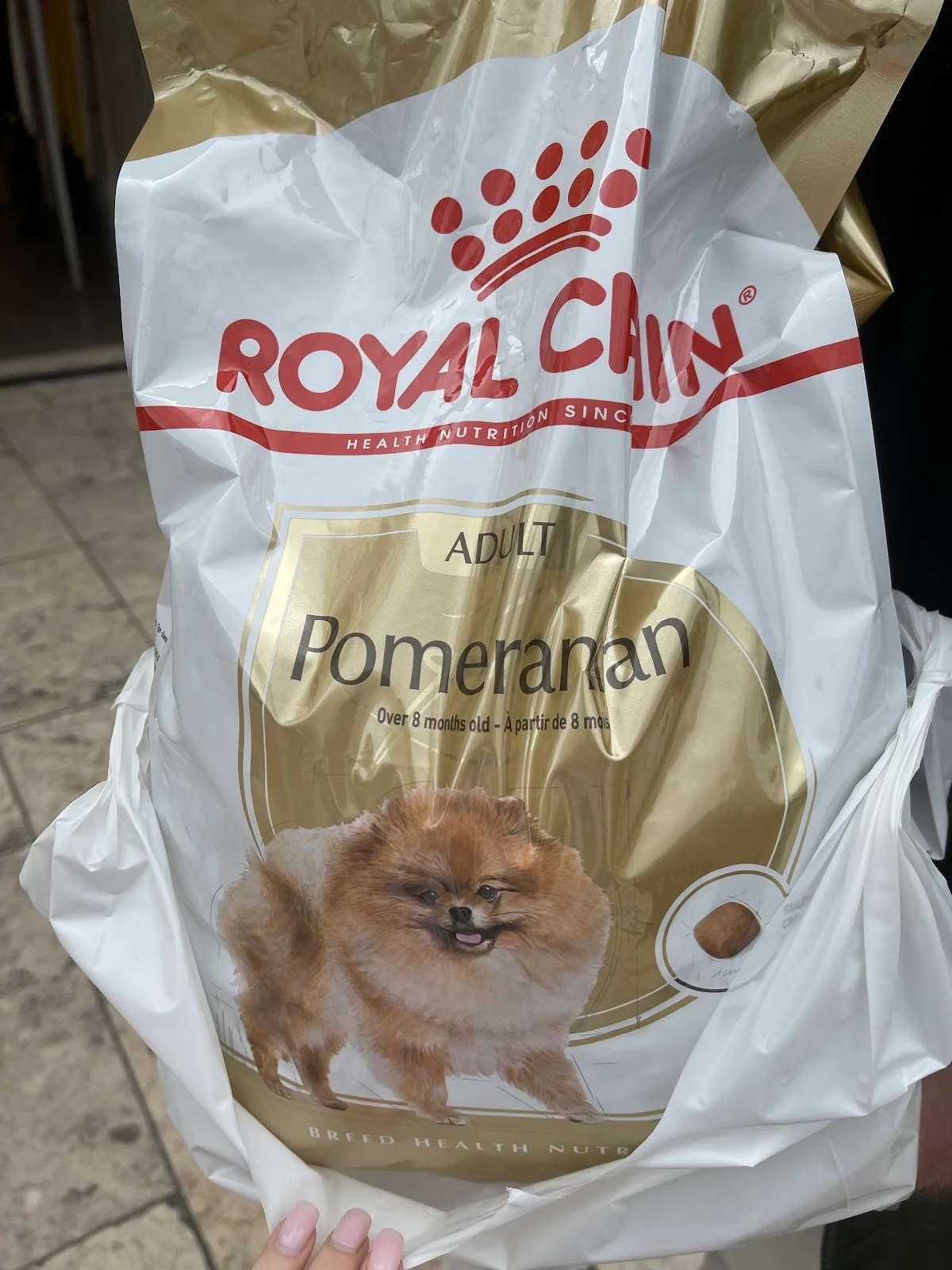 PetOutlet - Fanqueiros — 3