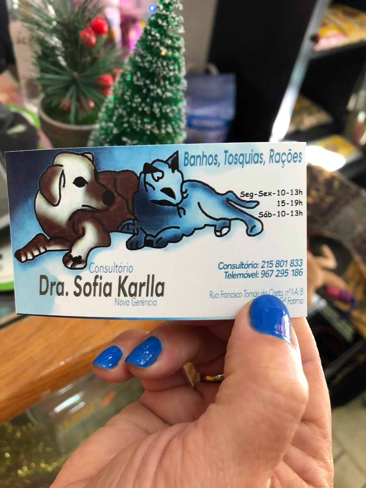 Veterinária Dra. Sofia Karlla