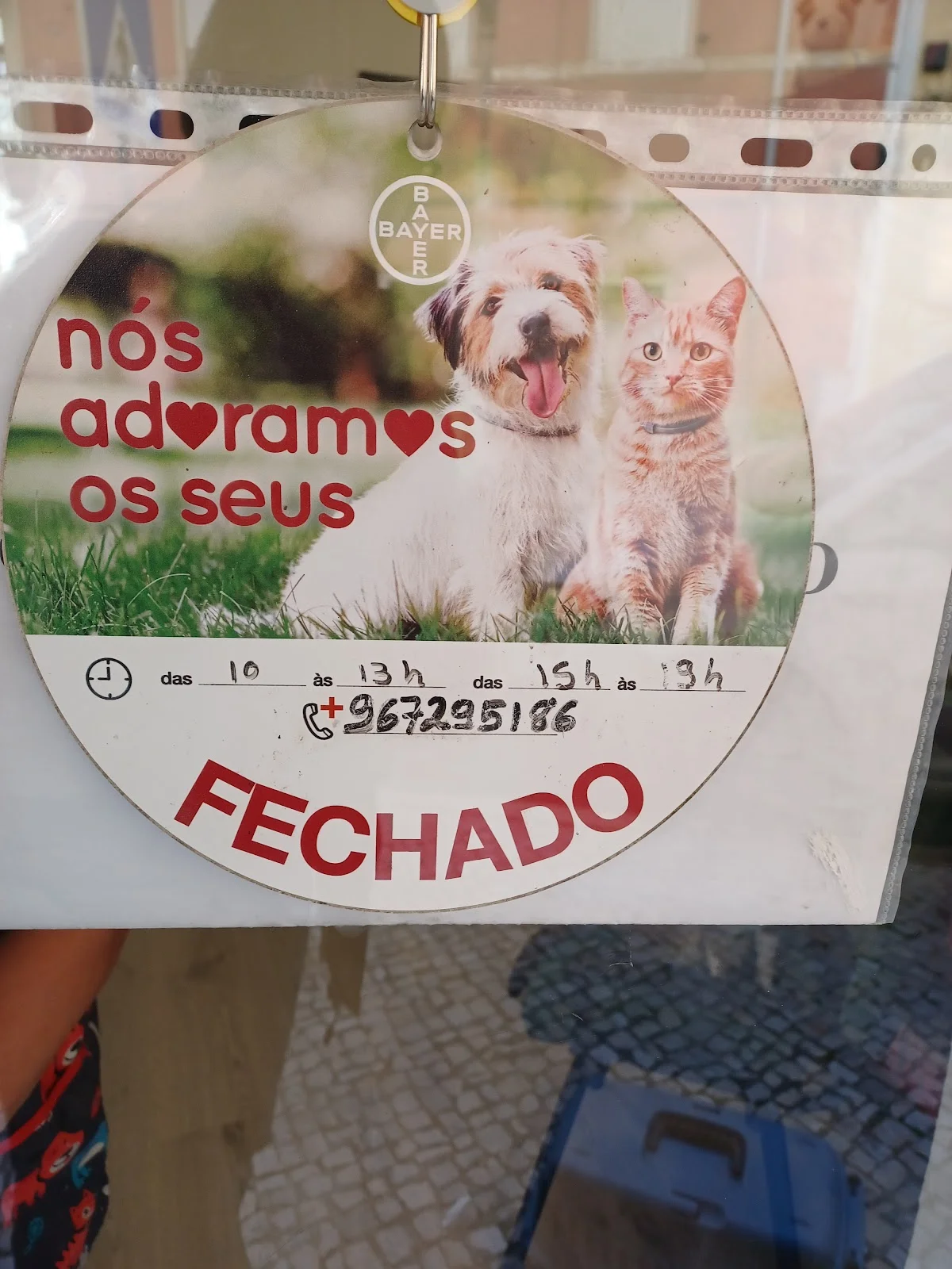 Veterinária Dra. Sofia Karlla — 3