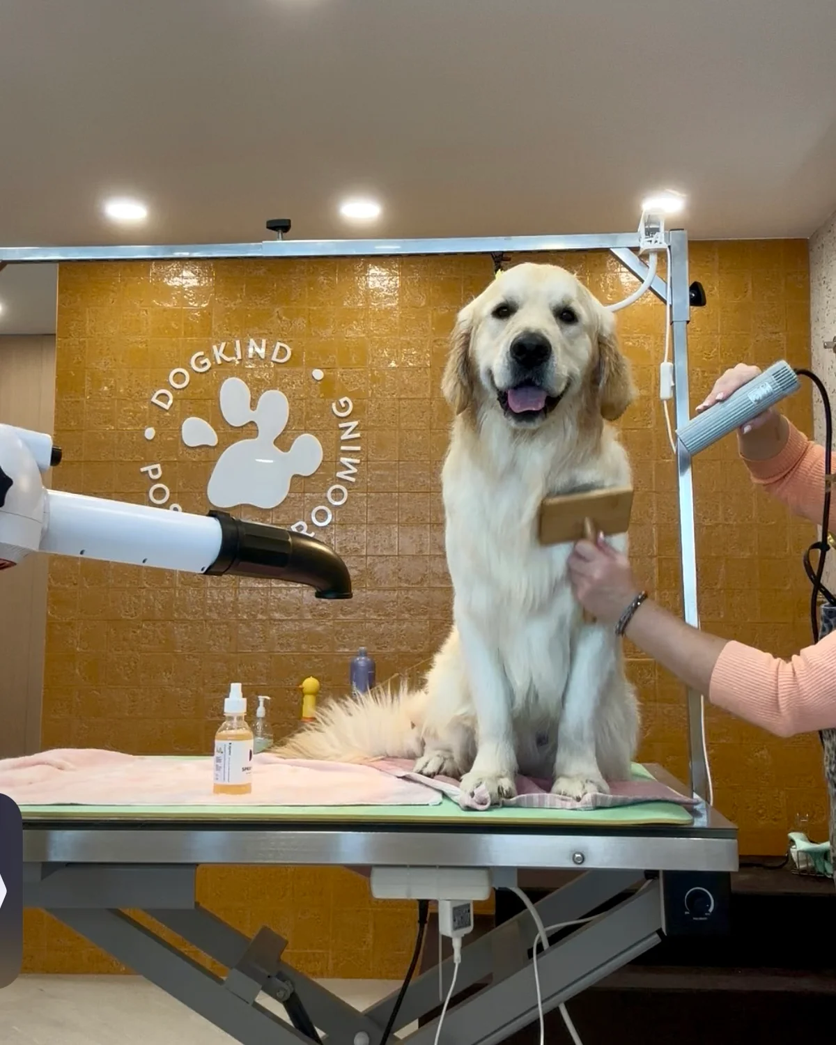 DogKind - Positive Grooming — 3
