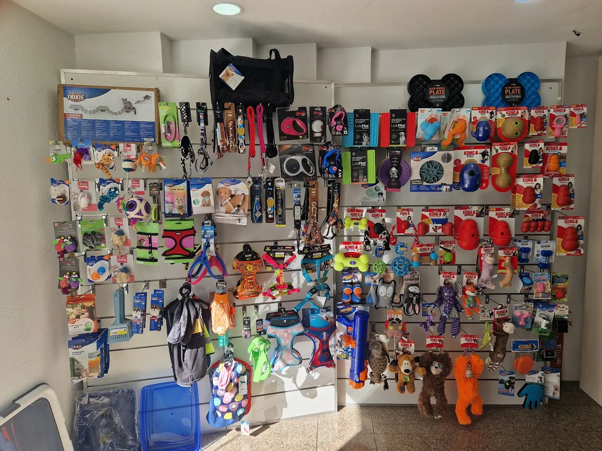 A loja do Bom Humano — 2
