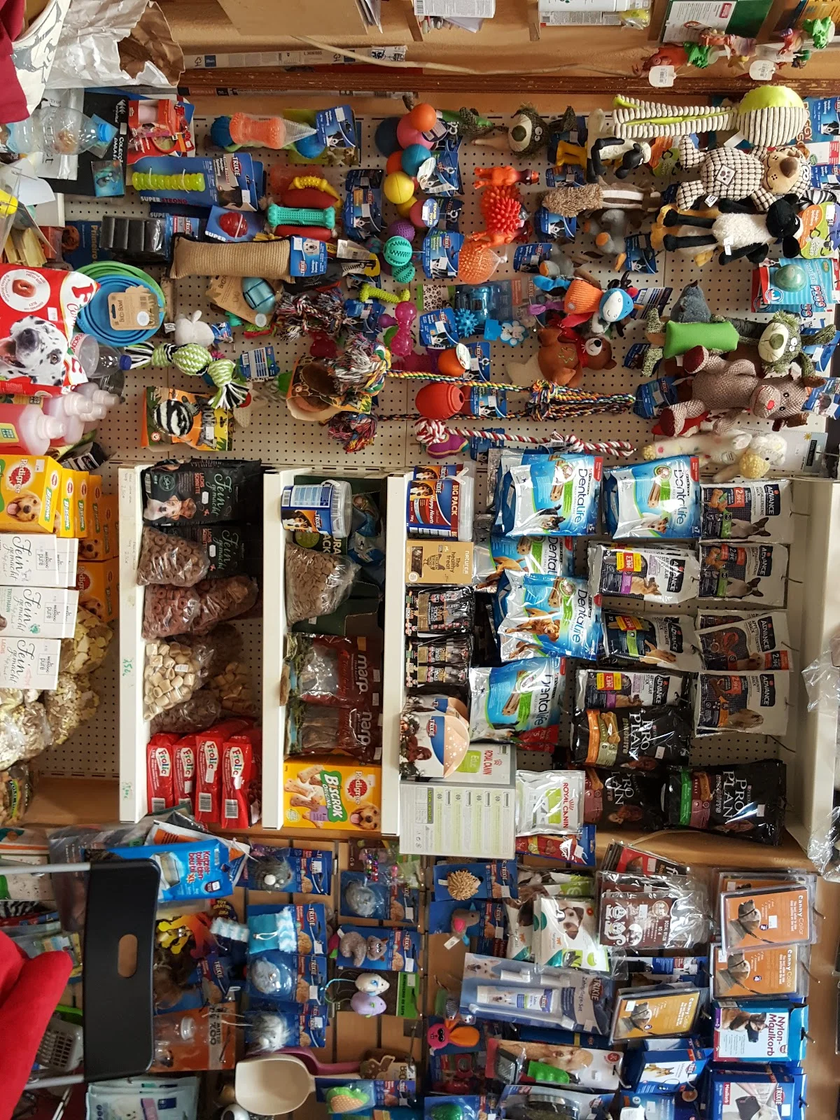Avigomes, Loja de Animais — 2