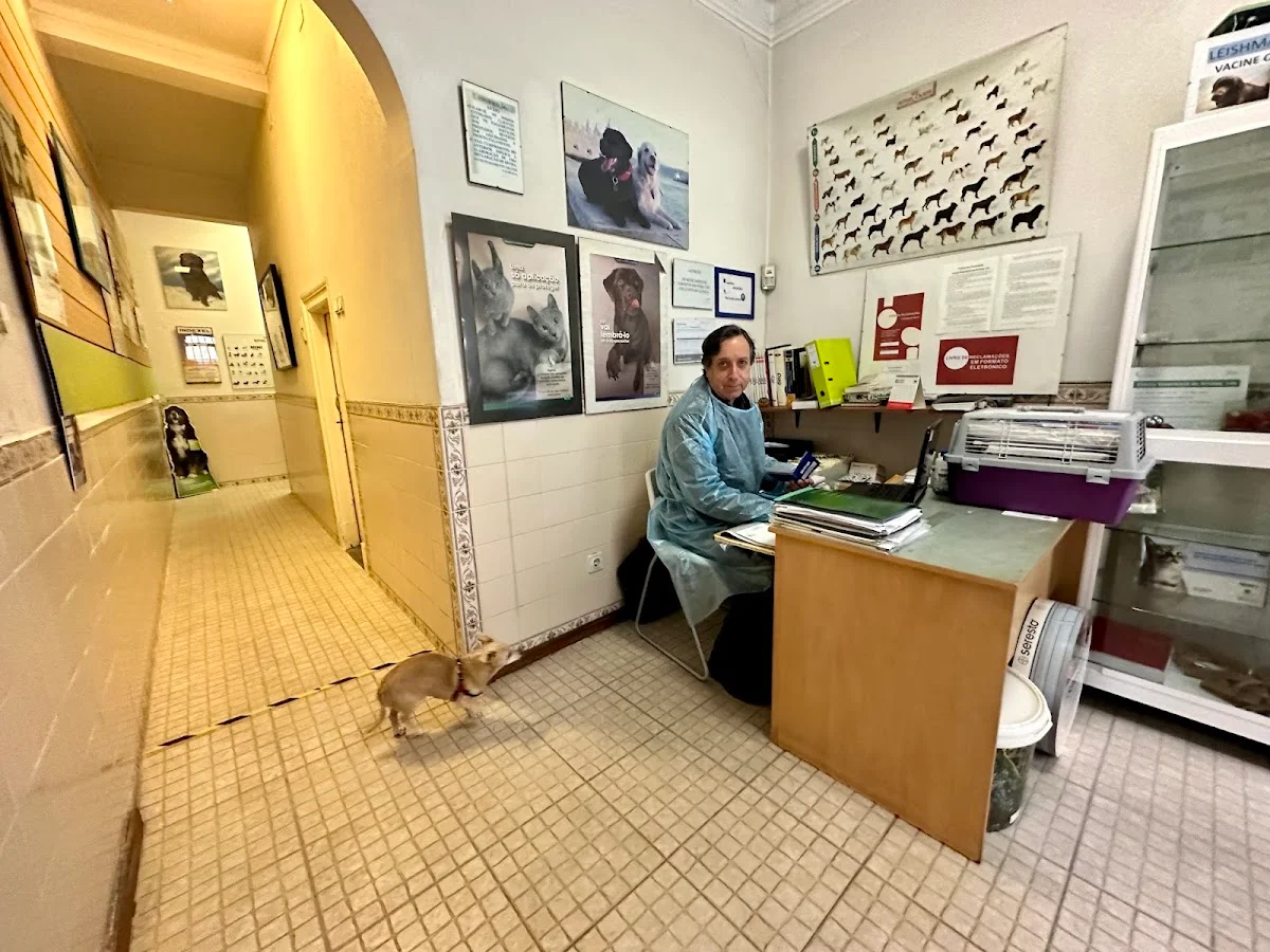 Clínica Veterinária De Arroios Lda — 2