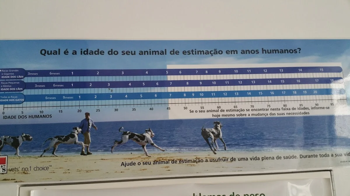 Hospital Referência Veterinária Montenegro — 3