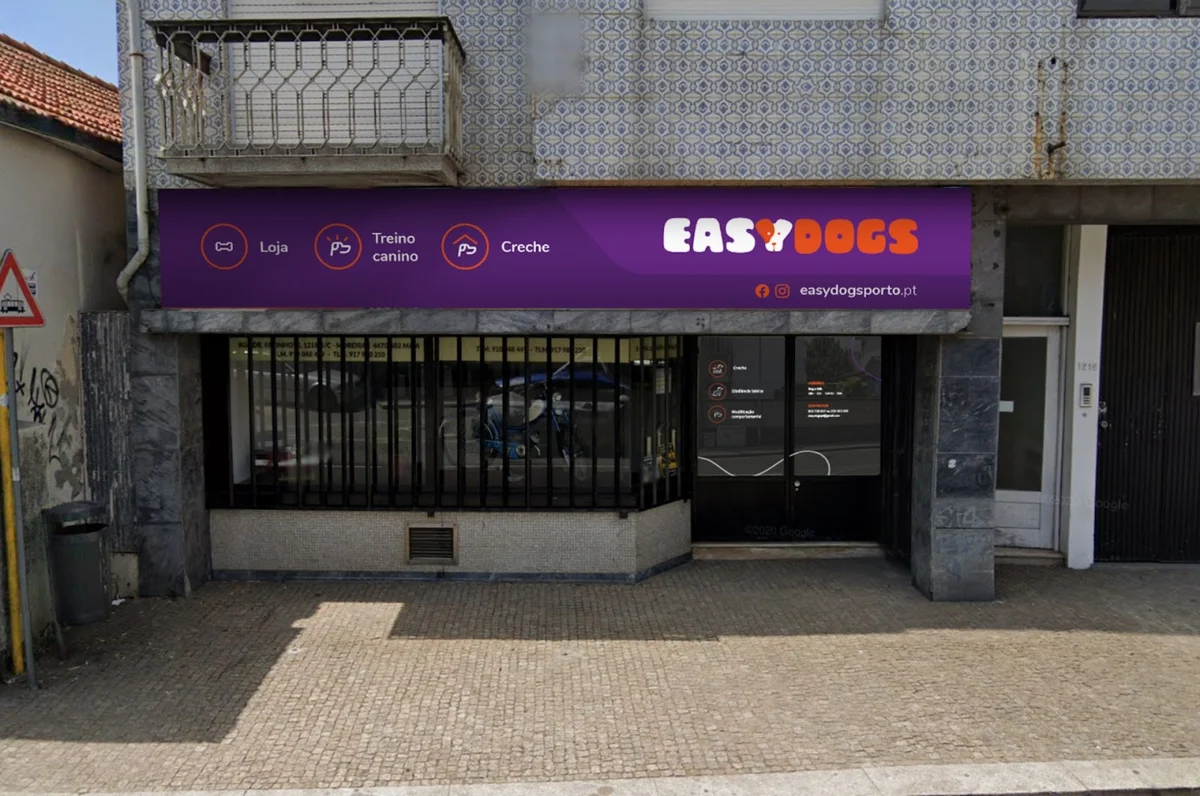 Easy dogs Academy — 3