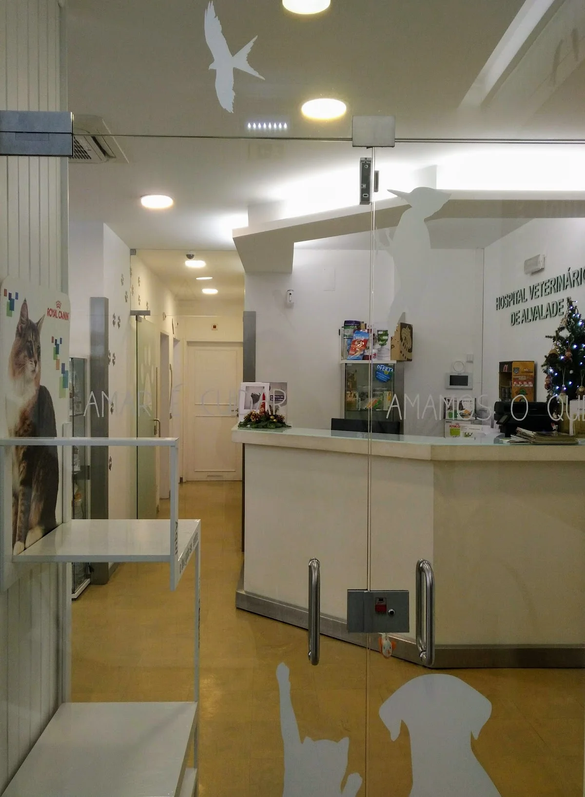 Clínica Veterinária de Alvalade — 2