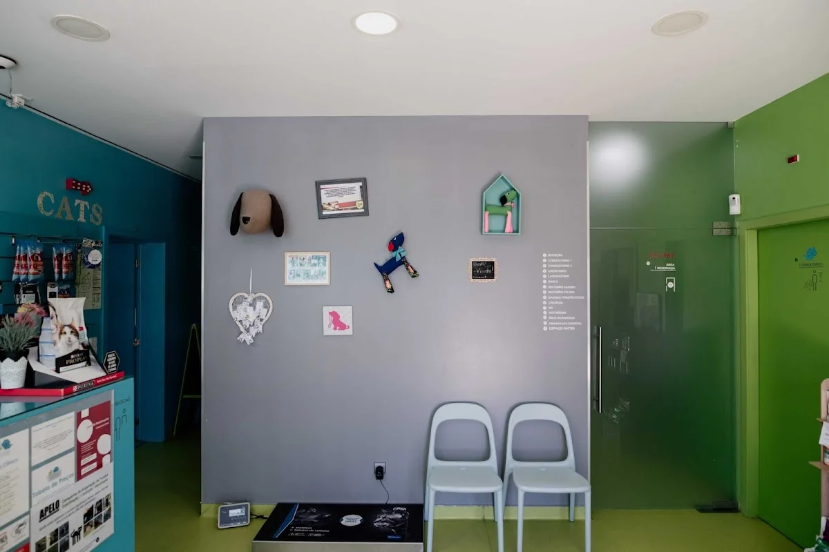 LEÇAVet - Clínica Veterinária — 2
