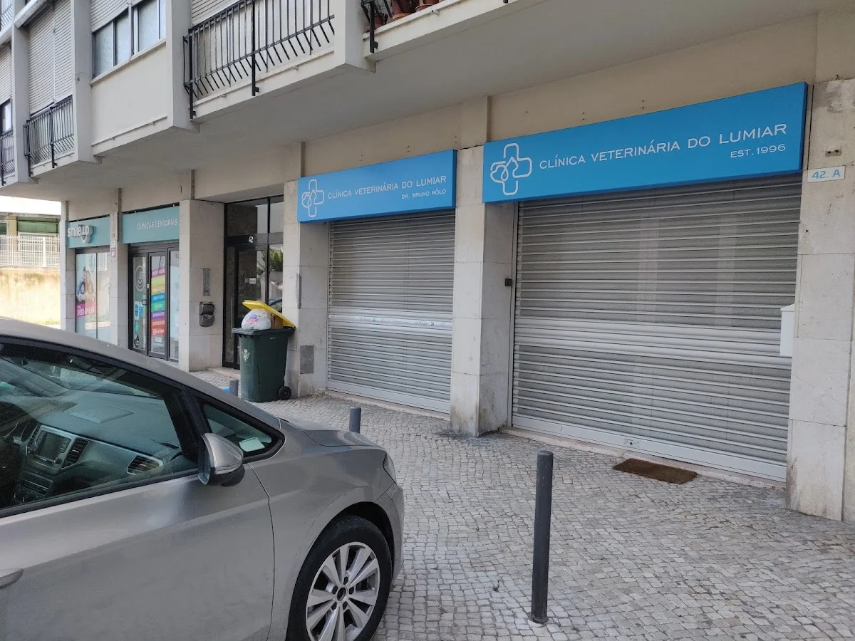 Clínica Veterinária do Lumiar — 3