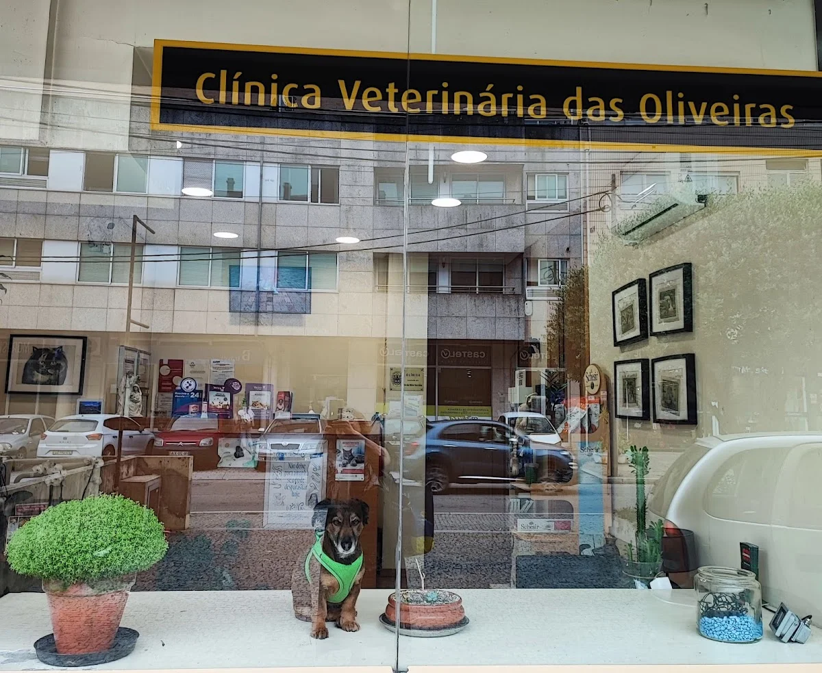 Clínica Veterinária Oliveiras