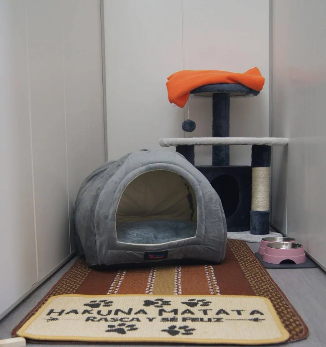 Hotel para gatos "Ola, Amigo!" — 2
