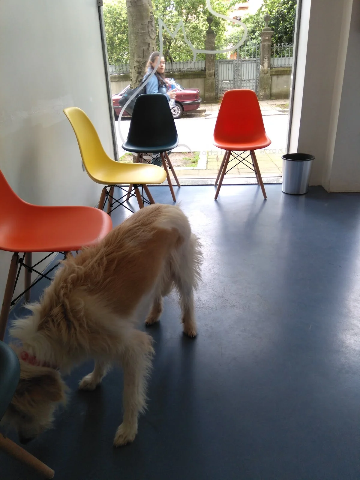 Hora Dos Bichos - clínica Veterinária Lda — 3