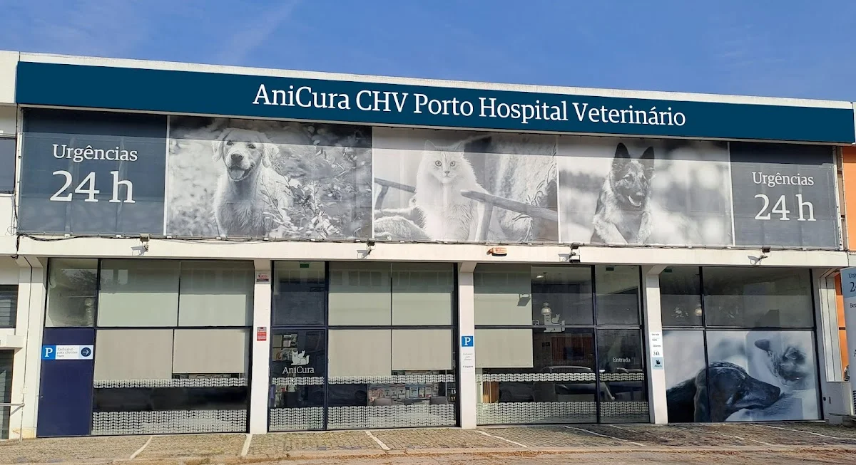 AniCura CHV Porto Hospital Veterinário