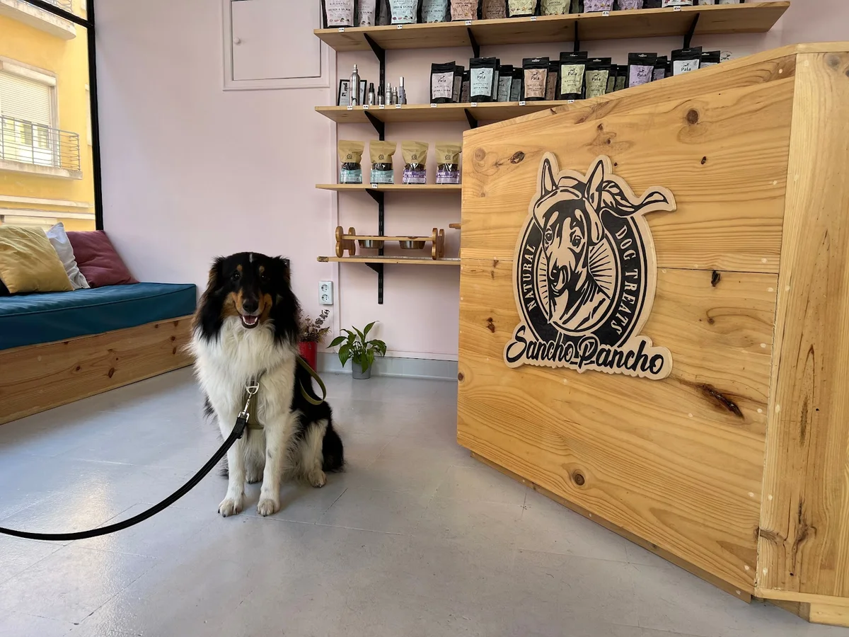 Sancho Pancho Pet Store — 2