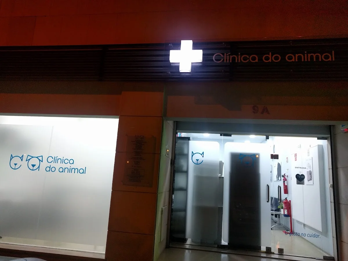 Clínica do Animal — 3