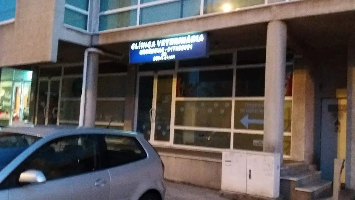 Centro Veterinário Saúde Animal - Felis Canis — 3