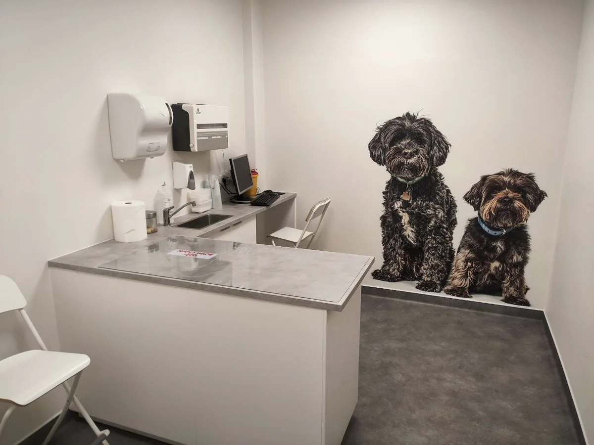 VetLuz Hospital Veterinário — 2