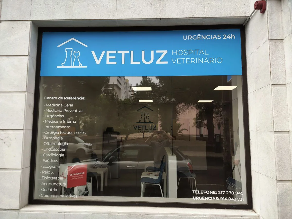 VetLuz Hospital Veterinário — 3