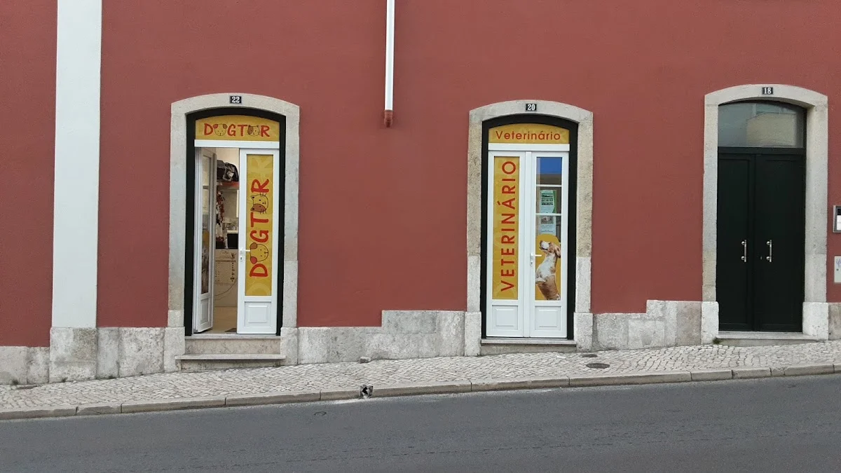 Dogtor Xabregas, Consultório Veterinário — 2